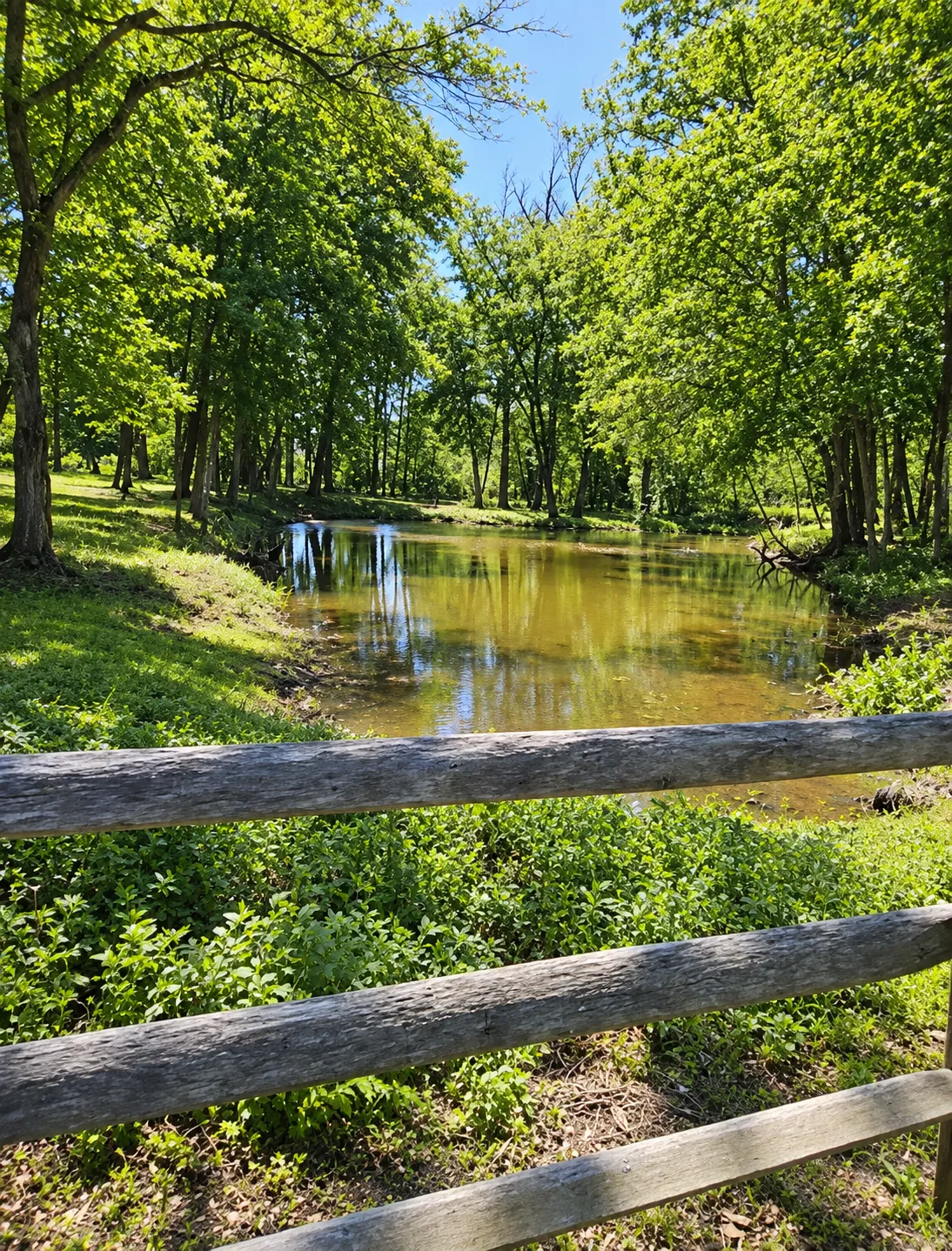 Pond along the trails